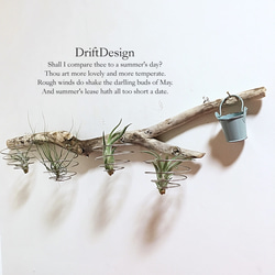 ～Drift Design～　流木のお洒落なエアプランツホルダー　多肉植物　インテリア 2枚目の画像