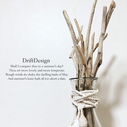 ～Drift Design～　流木のお洒落な貝殻の瓶飾り　西海岸　インテリア 3枚目の画像