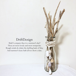 ～Drift Design～　流木のお洒落な貝殻の瓶飾り　西海岸　インテリア 4枚目の画像