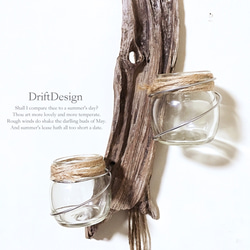 ～Drift Design～　流木のお洒落な２連多用途ホルダー　ブルックリン　エアプランツ　多肉植物　サボテン 2枚目の画像