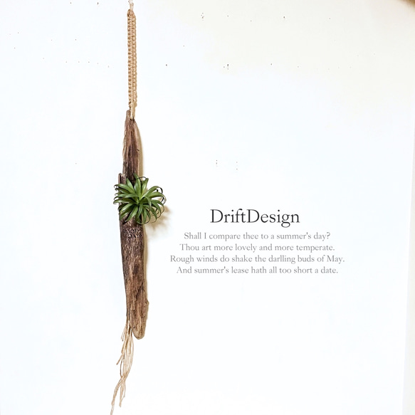 ～Drift Design～　流木と造花のお洒落な壁掛けインテリア　カリフォルニアスタイル　ロンハーマン　男前インテリア 4枚目の画像