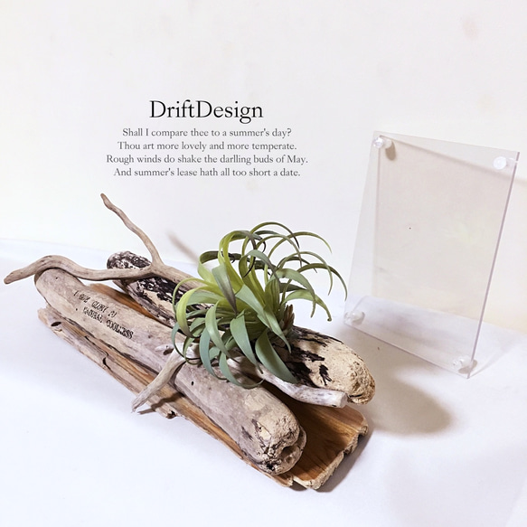 ～Drift Design～　流木と造花のお洒落な写真立て　ロンハーマン　フォトスタンド　インテリア 3枚目の画像