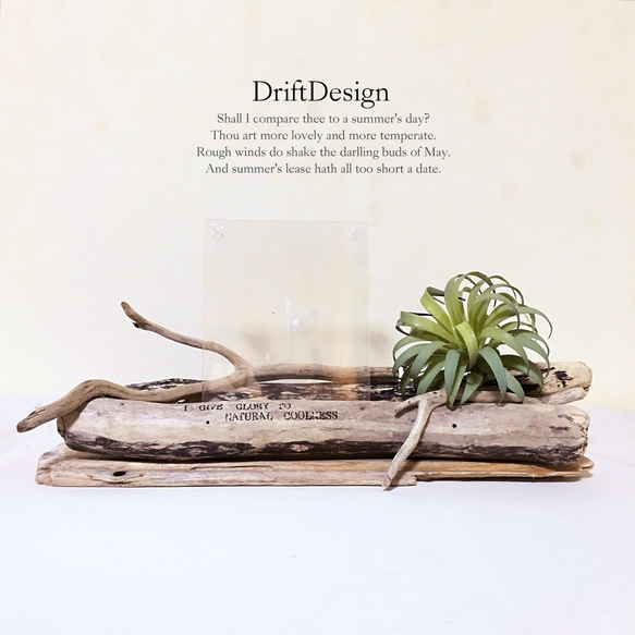 ～Drift Design～　流木と造花のお洒落な写真立て　ロンハーマン　フォトスタンド　インテリア 4枚目の画像