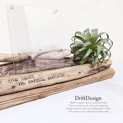 ～Drift Design～　流木と造花のお洒落なロンハーマン風英文入り写真立て　フォトスタンド　インテリア 3枚目の画像
