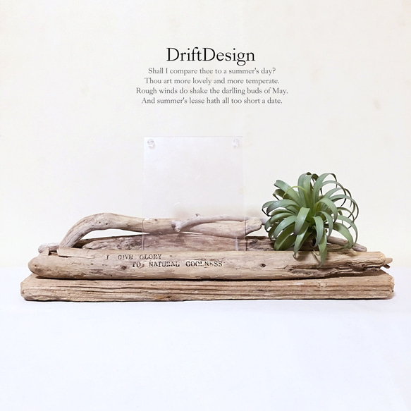 ～Drift Design～　流木と造花のお洒落なロンハーマン風英文入り写真立て　フォトスタンド　インテリア 4枚目の画像