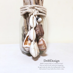 ～Drift Design～　流木と貝殻のお洒落な瓶飾り　ロンハーマン　西海岸　置物　オブジェ　インテリア 2枚目の画像
