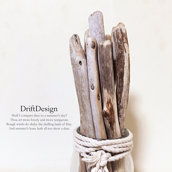 ～Drift Design～　流木と貝殻のお洒落な瓶飾り　ロンハーマン　西海岸　置物　オブジェ　インテリア 3枚目の画像