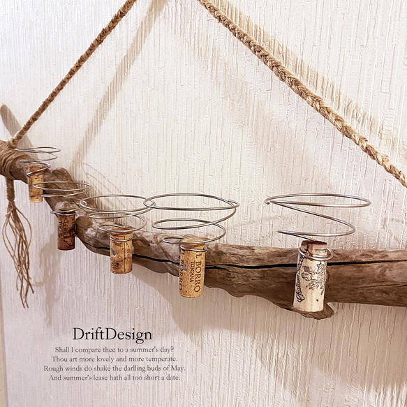 ～Drift Design～　大きめ味わい流木のお洒落な多用途５連コルクホルダー　エアプランツ　造花 3枚目の画像