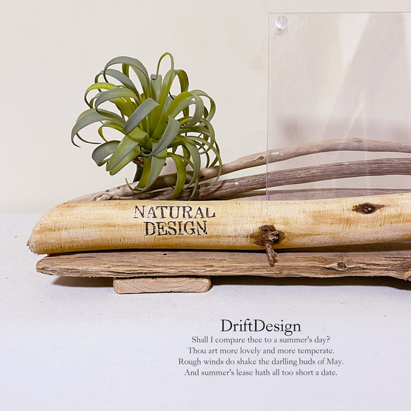～Drift Design～　流木と造花のお洒落な英文入り組み合わせ写真立て　フォトスタンド　フォトフレーム 3枚目の画像