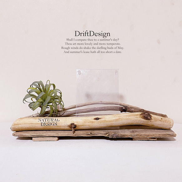 ～Drift Design～　流木と造花のお洒落な英文入り組み合わせ写真立て　フォトスタンド　フォトフレーム 4枚目の画像