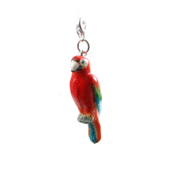 Parrot red 1枚目の画像