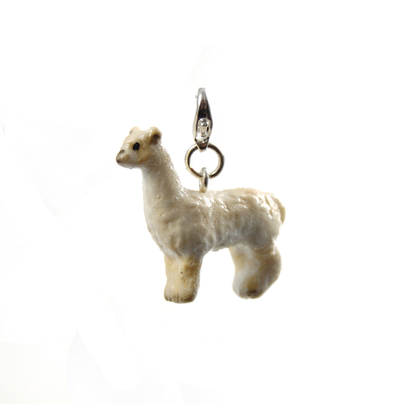 Alpaca 第1張的照片