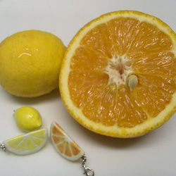 Lemon 第2張的照片