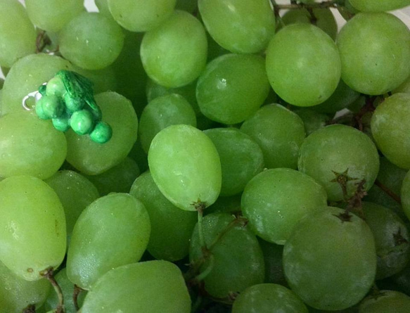 Green Grape 第2張的照片