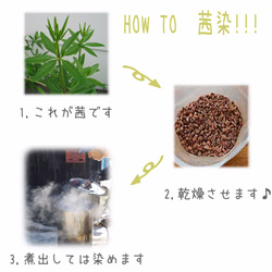 貝雷帽有羊毛100％2色 第6張的照片