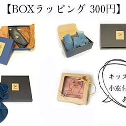 BOX、熨斗 ラッピング 1枚目の画像