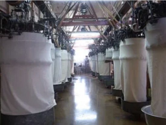 吊り編みスラブTシャツ/4カラー/和歌山県産 ニット編生地