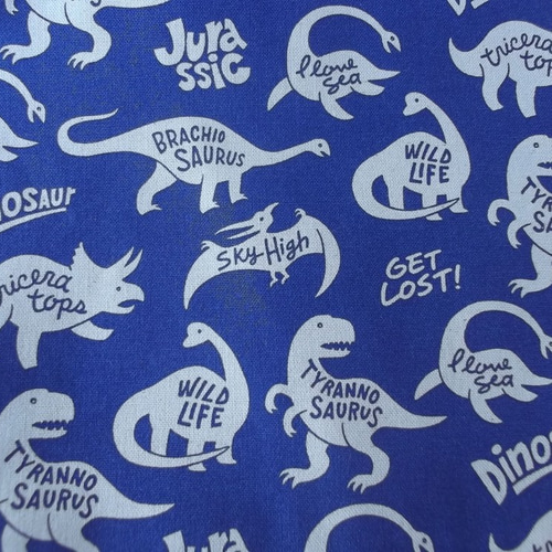 男の子大きめナップサック型体操服入れ お着替え袋 巾着袋 40×35