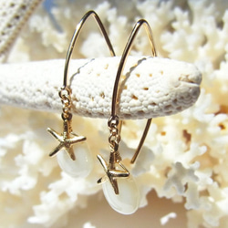 【65%OFF】Starfish × Mother of Pearl Hook Pierce 4枚目の画像