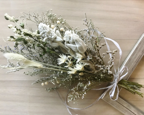 ラスト一点！シルバーキャットのホワイトグレージュカラー ドライ