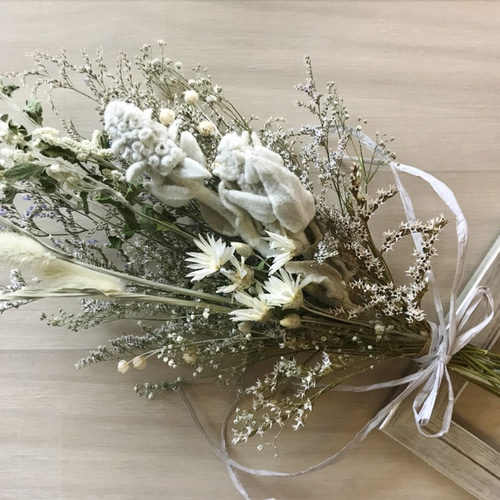 ラスト一点！シルバーキャットのホワイトグレージュカラー ドライ