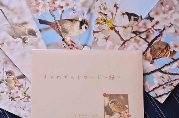 すずめポストカード～桜 2枚目の画像