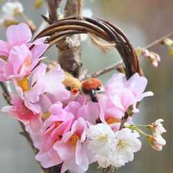 スズメさんと桜のリース♪ 3枚目の画像