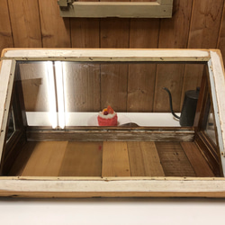 懷舊復古道具玻璃櫃 深26.8 寬56 高28cm 第5張的照片