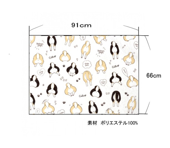 [柴犬屁股墊&amp;毯子] 放鬆套裝♪ 第6張的照片