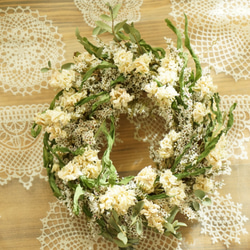 white＆green　wreath 1枚目の画像