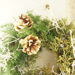 green　wreath 3枚目の画像