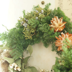 fresh　wreath（large） 2枚目の画像