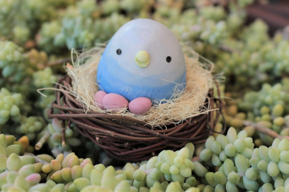 さくら色の卵を抱く小鳥（１） 1枚目の画像