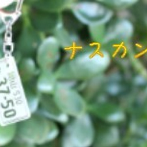 新品未使用SF鮫亀VBバーティカルフォース、とびだせ！ぱにボン