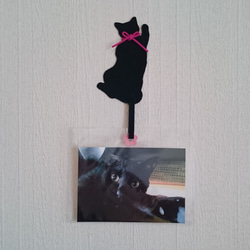 黒猫マグネット(紫 鈴) 6枚目の画像