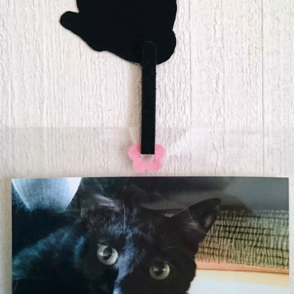 黒猫マグネット(紫 鈴) 7枚目の画像