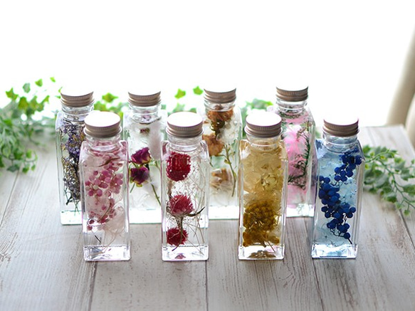 ハーバリウム2本セット／スクエアミニ ハーバリウム・植物標本  