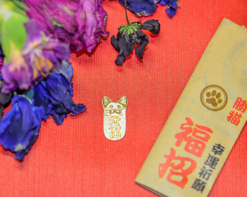 ネコの小判（感謝） 皆さまへ 昨日、こはくの治療費の支援をお願いしましたが、 残念