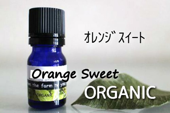 オレンジスィート　エッセンシャルオイル　（オーガニック・5ml） 1枚目の画像