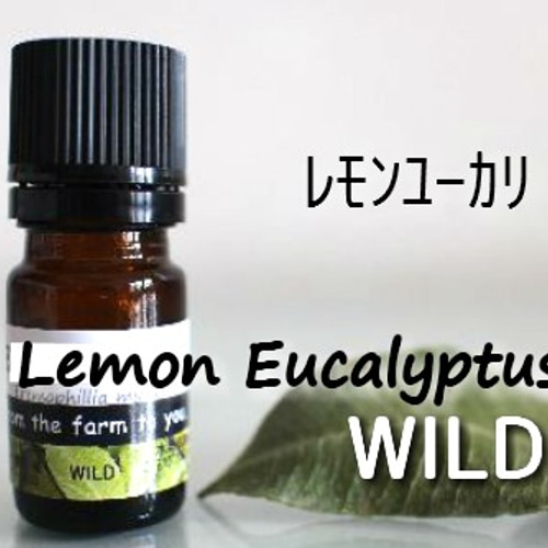 エッセンシャルオイル ギフト セット 5ml x 3本 その他雑貨 kurrutti
