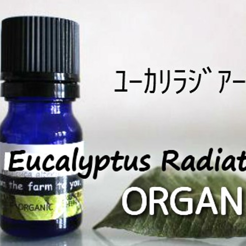 エッセンシャルオイル ギフト セット 5ml x 3本 その他雑貨 kurrutti