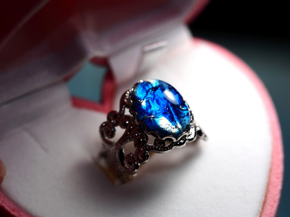 Impact Blue 3枚目の画像