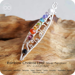 H28 Rainbow Chakras Leaf 彩虹光譜 葉脈 純銀墜 Silver Pendant 第1張的照片