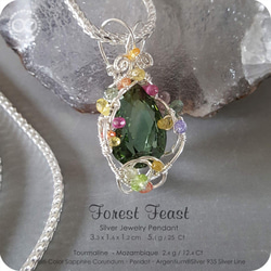 Mozambique Green Tourmaline Silver Jewelry Necklace 純銀練 H116 第2張的照片