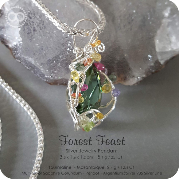 Mozambique Green Tourmaline Silver Jewelry Necklace 純銀練 H116 第3張的照片