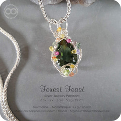 Mozambique Green Tourmaline Silver Jewelry Necklace 純銀練 H116 第4張的照片