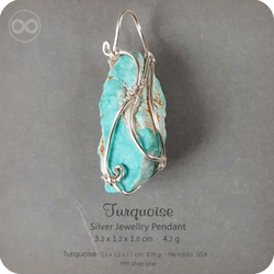Turquoise 土耳其石 綠松石 Silver Jewelry Pendant 純銀墜飾 H95 第2張的照片