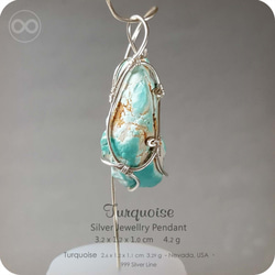 Turquoise 土耳其石 綠松石 Silver Jewelry Pendant 純銀墜飾 H95 第5張的照片