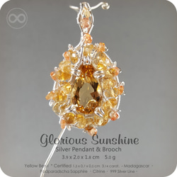 Yellow Beryl Heliodor Silver Jewelry Pendant + Brooch H89 第1張的照片