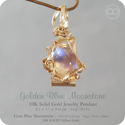 Gem Blue Moonstone 10K SOLID Gold Jewelry Necklace [ H 143 ] 第4張的照片